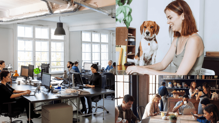 From Frustration to Focus: How neep Software Conquers Office Noise 